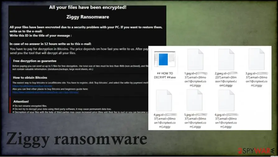 Ziggy ransomware: ziggy cryptovirus