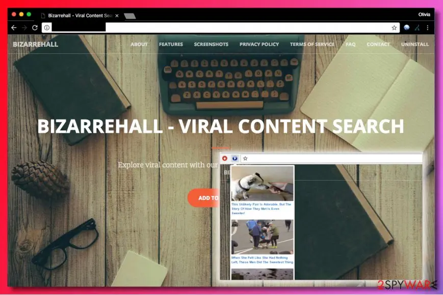Screenshot of Bizarrehall virus: screenshot