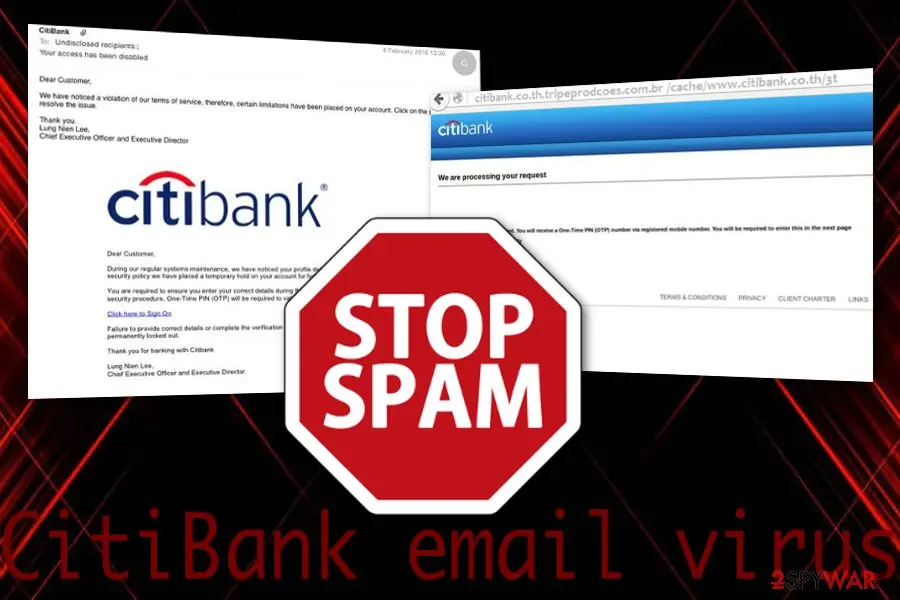 CitiBank virus: citibank email virus