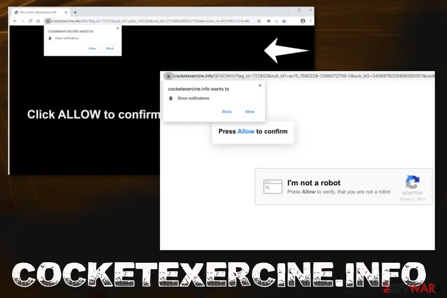 Cocketexercine.info: cocketexercine info virus