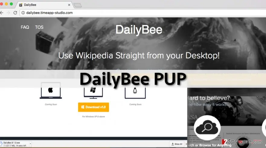 DailyBee virus: dailybee pup