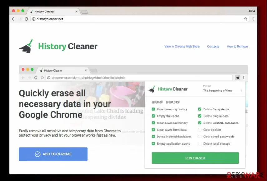 History Cleaner virus: screenshot
