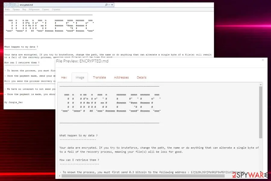 Screenshot of JungleSec: ransomware