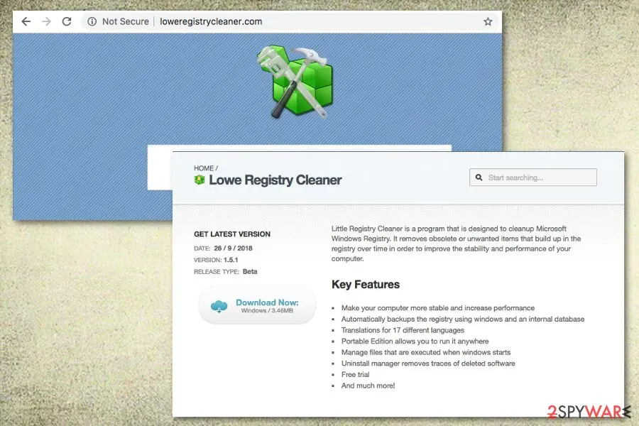Lowe Registry Cleaner: pup