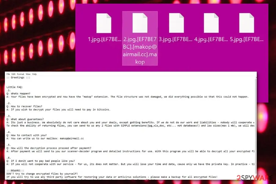 Screenshot of Makop ransomware: screenshot