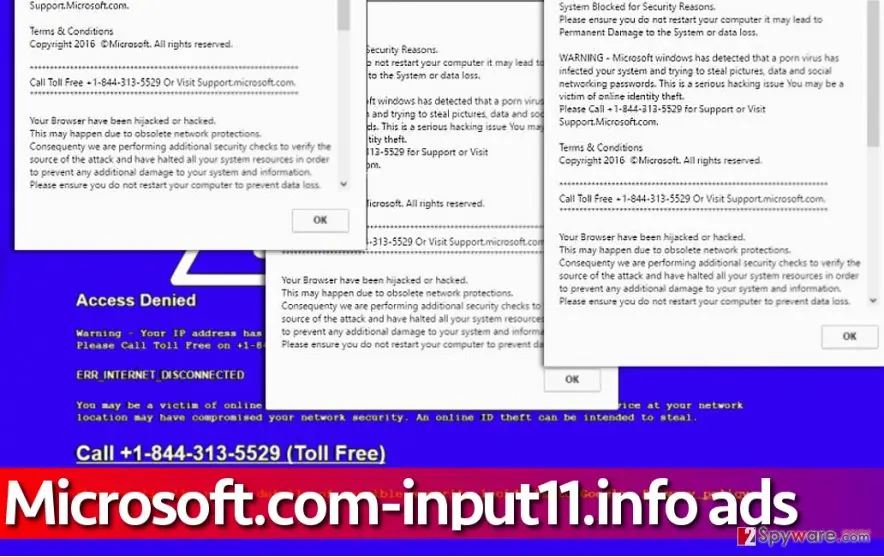 Microsoft.com: microsoft com input11 info virus displays bogus alerts