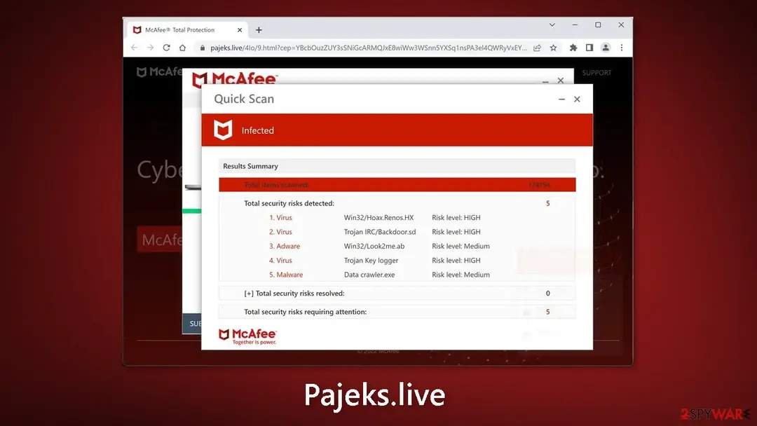 Screenshot of Pajeks.live: pajeks live