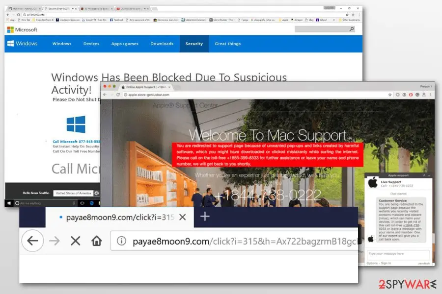 Payae8moon9.com: payae8moon9 redirect virus