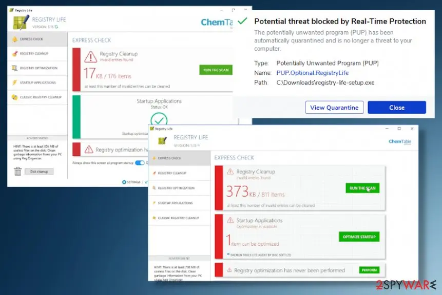 Screenshot of Registry Life: pup