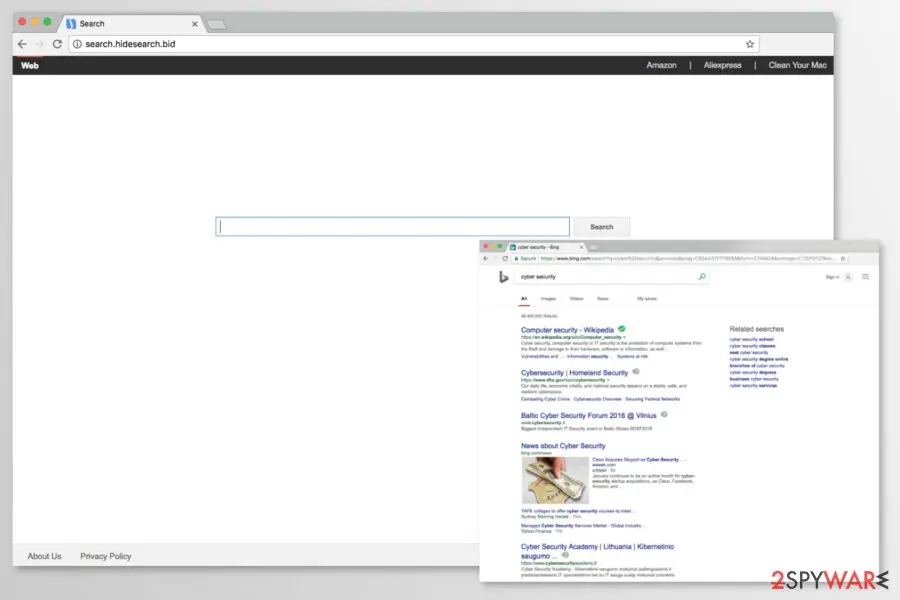 Search.hidesearch.bid: search hidesearch bid virus