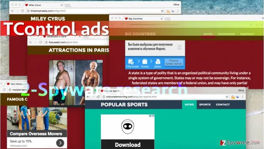 Screenshot of TControl ads: screenshot