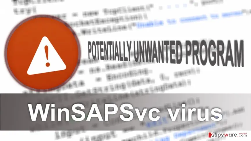 Screenshot of WinSAPSvc virus: screenshot