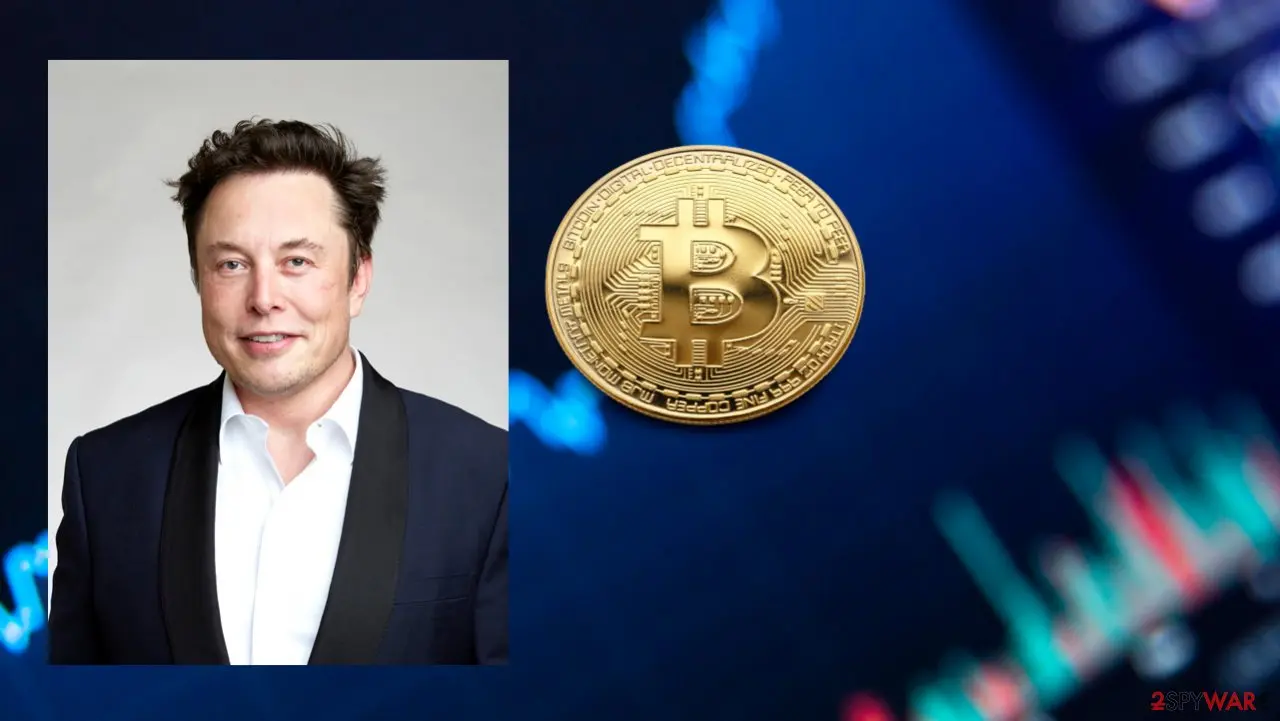 Elon Musk Crypto Scam Sites: BitVex and Clones in 2026