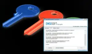 An image of the ransomware decryptor