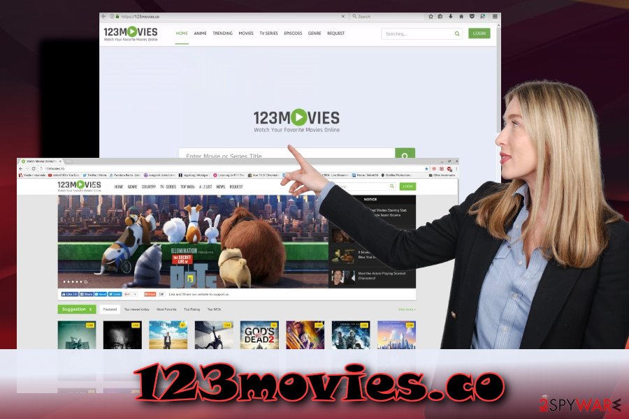 123movies.co potentially unwanted application 123movies.co potentially unwanted application