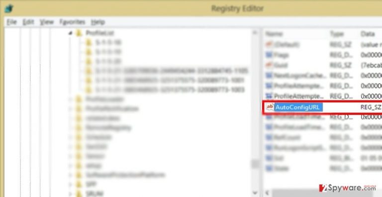 The picture showing AutoConfigUrl virus The picture showing AutoConfigUrl virus