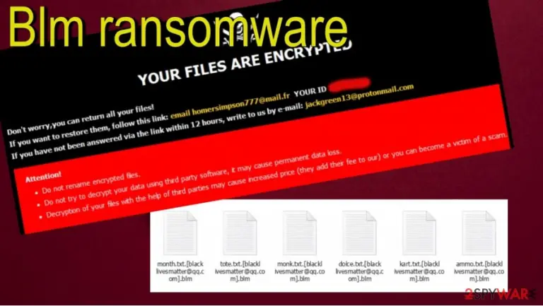 Blm ransomware removal