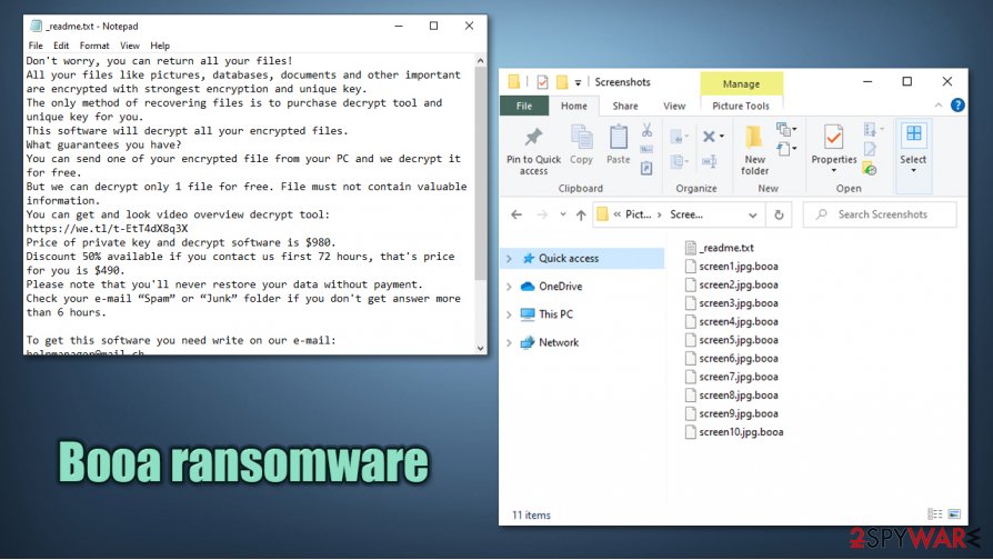 Booa virus file Booa virus file