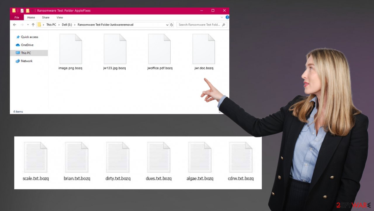 Bozq ransomware virus Bozq ransomware virus