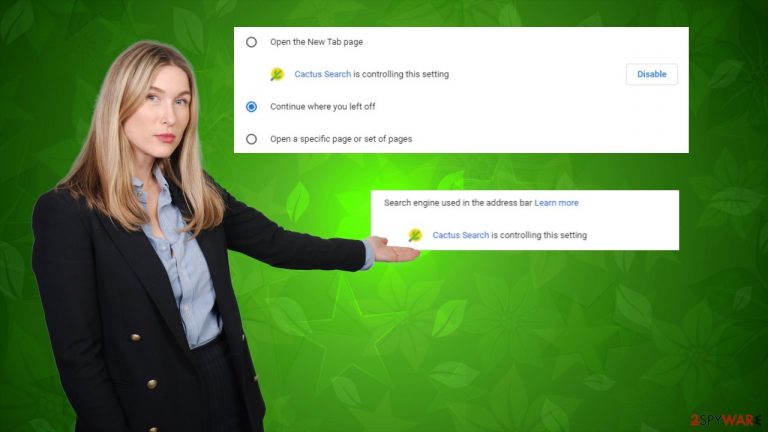 Cactus Search redirect