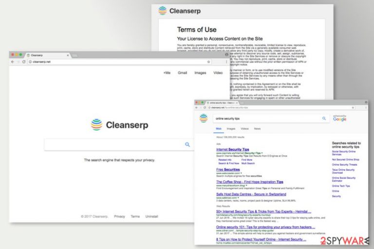 Cleanserp.net Cleanserp.net