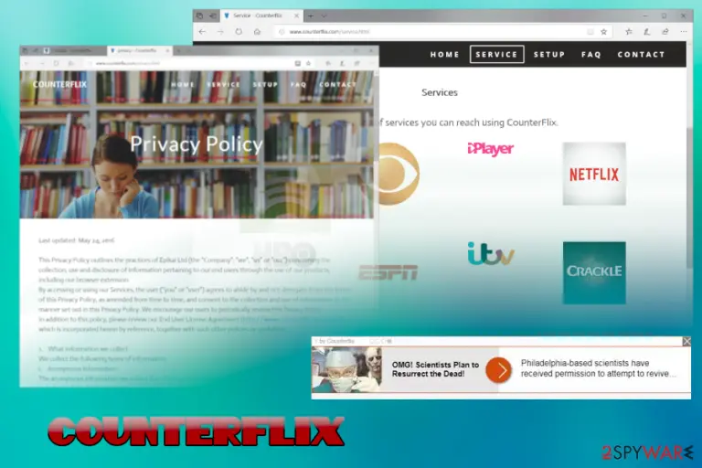 Counterflix virus