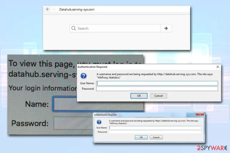 Datahub.serving-sys.com