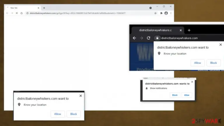 Districtbaloneywhiskers.com virus