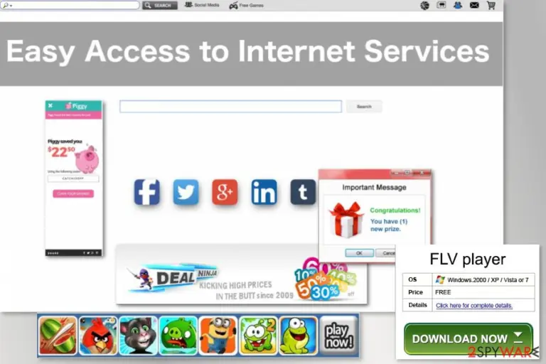The example of Easy Access to Internet Services
