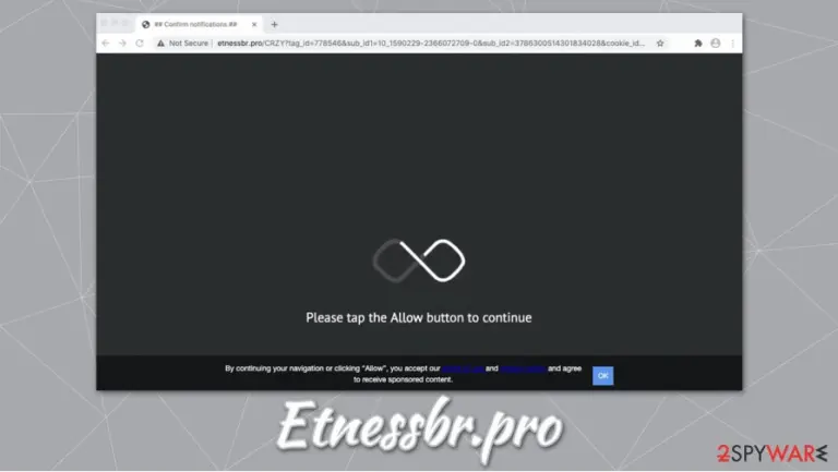 Etnessbr.pro