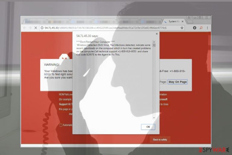 Zeus Virus Detected scam Zeus Virus Detected scam