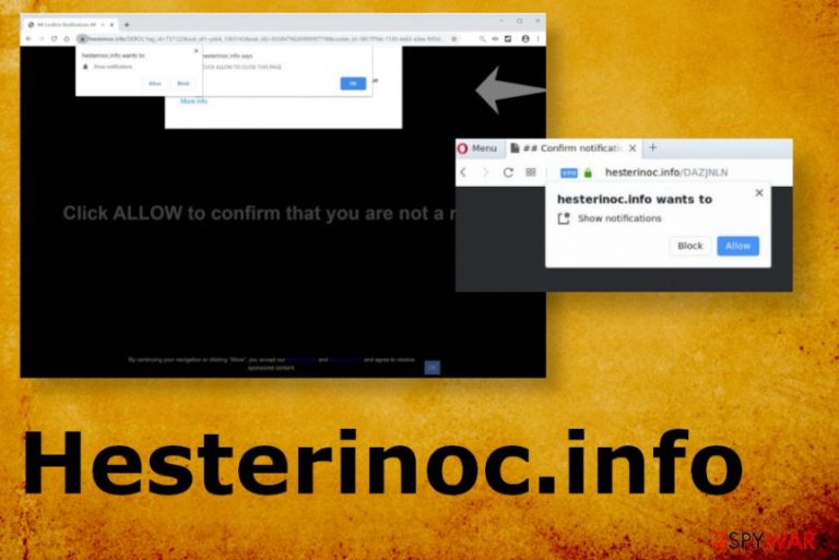 Hesterinoc.info Hesterinoc.info