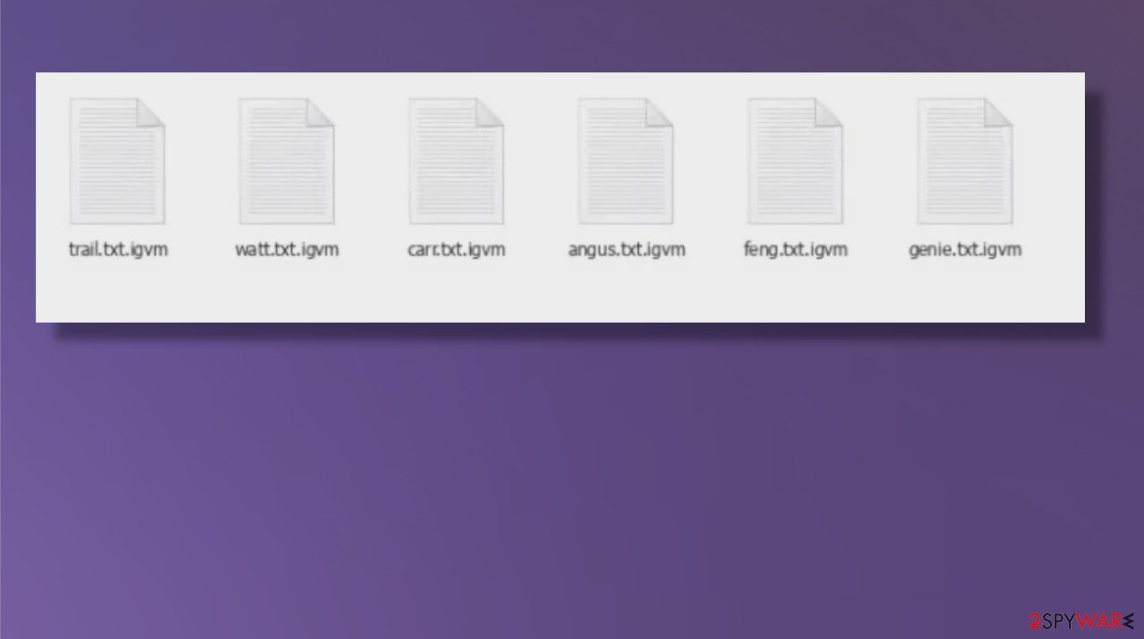 Igvm file-locker Igvm file-locker