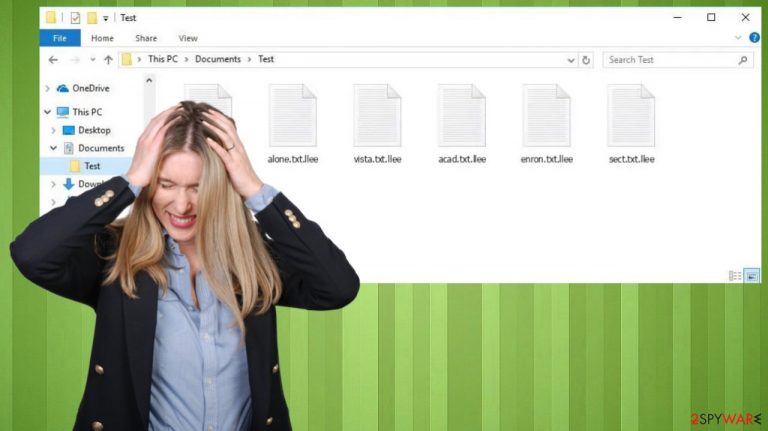 Llee file virus