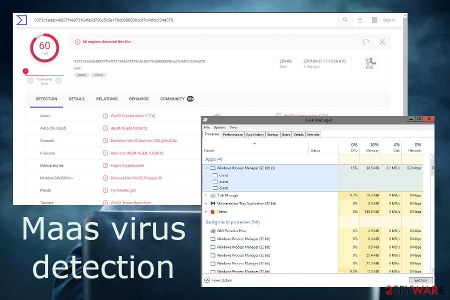 Maas virus detection Maas virus detection
