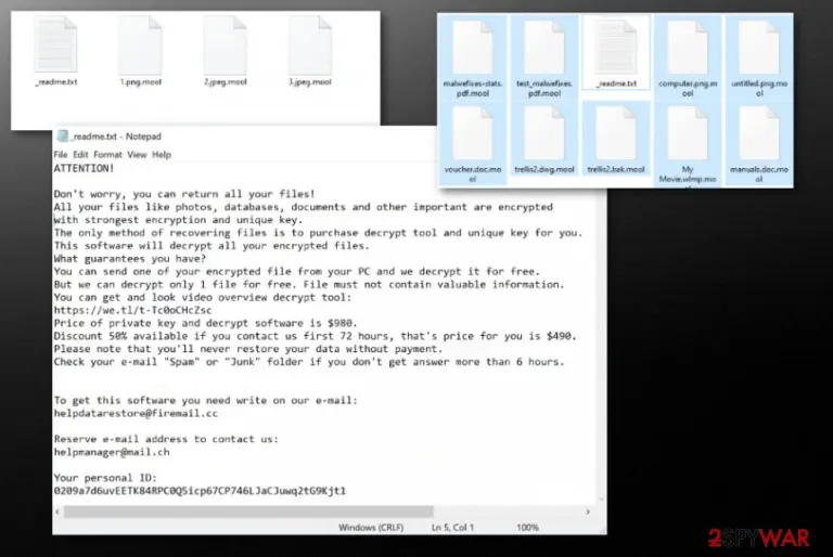 Mool files virus