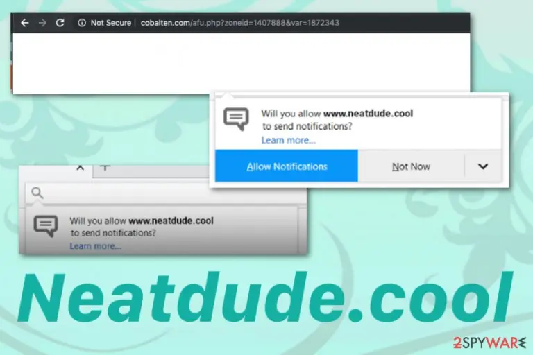 Neatdude.cool browser redirect