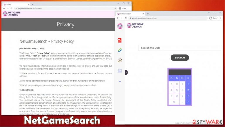 NetGameSearch virus