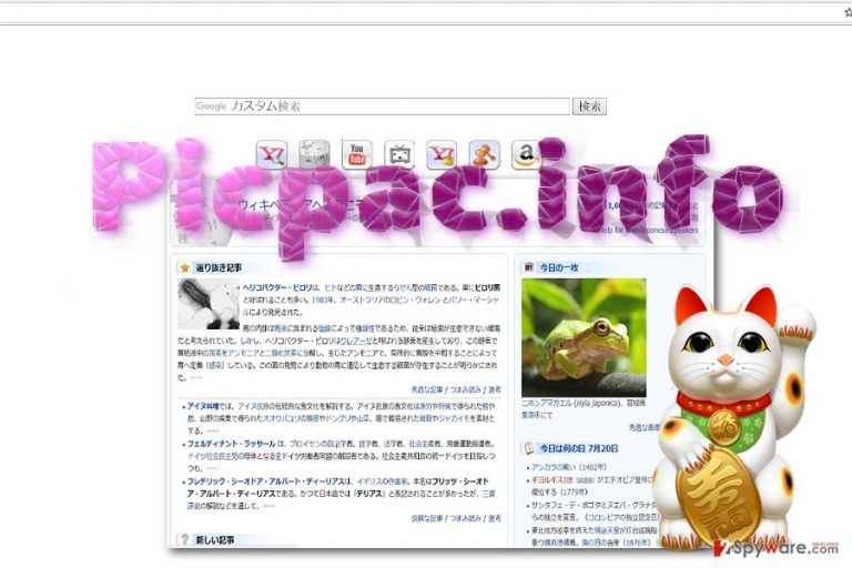 Picpac.info example
