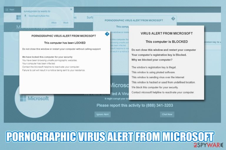 Pornographic virus alert from Microsoft Pornographic virus alert from Microsoft