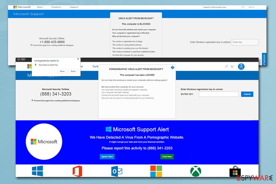 Pornographic virus alert from Microsoft fake alert Pornographic virus alert from Microsoft fake alert