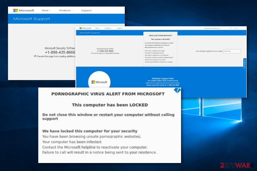 PORNOGRAPHIC VIRUS ALERT FROM MICROSOFT scam PORNOGRAPHIC VIRUS ALERT FROM MICROSOFT scam