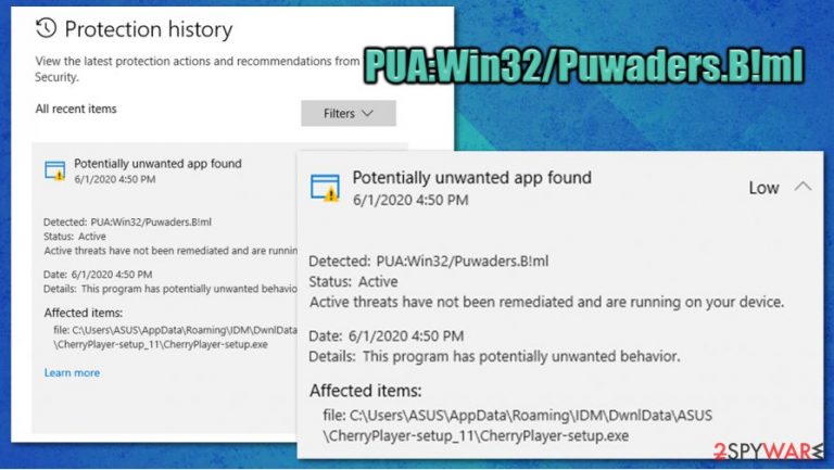 PUA:Win32/Puwaders.B!ml PUA:Win32/Puwaders.B!ml