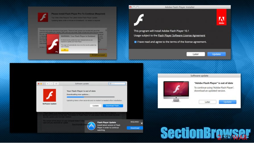 SectionBrowser distribution SectionBrowser distribution