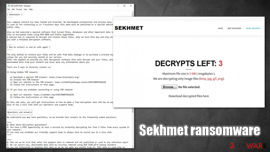 Sekhmet virus Sekhmet virus