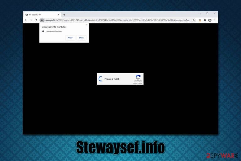 Stewaysef.info Stewaysef.info