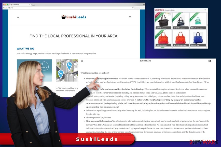 The picture of SushiLeads ads The picture of SushiLeads ads