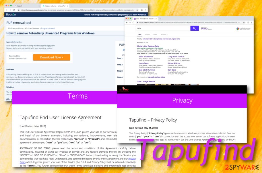 Tapufind virus Tapufind virus