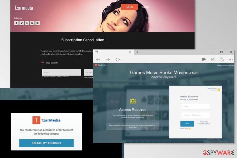 Example of TzarMedia websites Example of TzarMedia websites