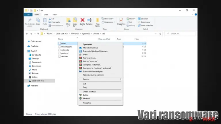Vari files virus hosts file